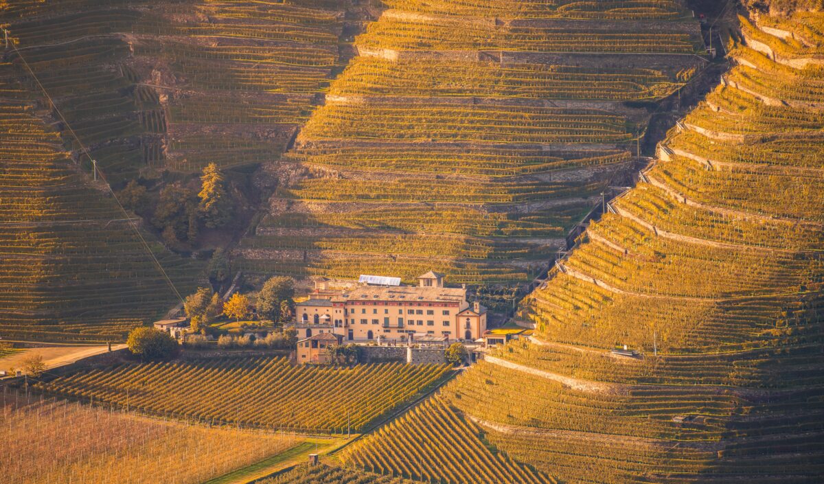 Tenuta la Gatta. Un antico monastero tra i vigneti terrazzati