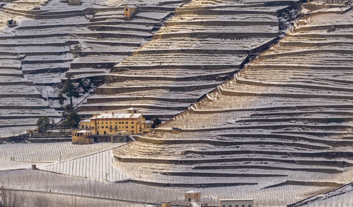 Tenuta la Gatta. Un antico monastero tra i vigneti terrazzati