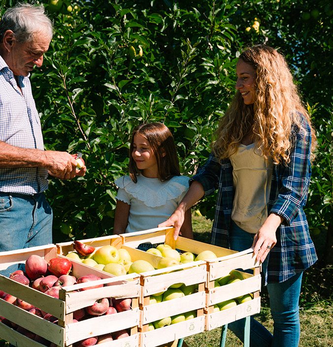 Valtellina IGP apples: the authentic taste of a unique land