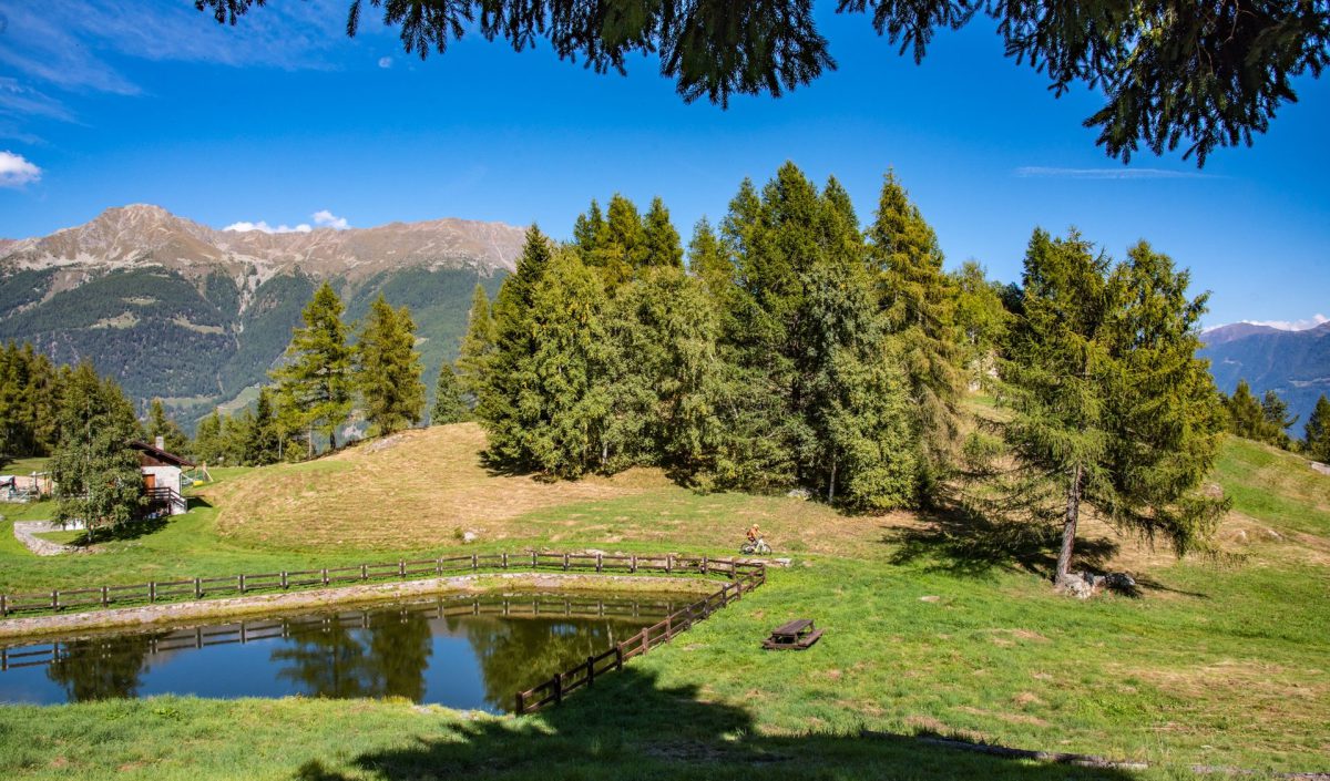 E-bike Madonna di Tirano, Lughina