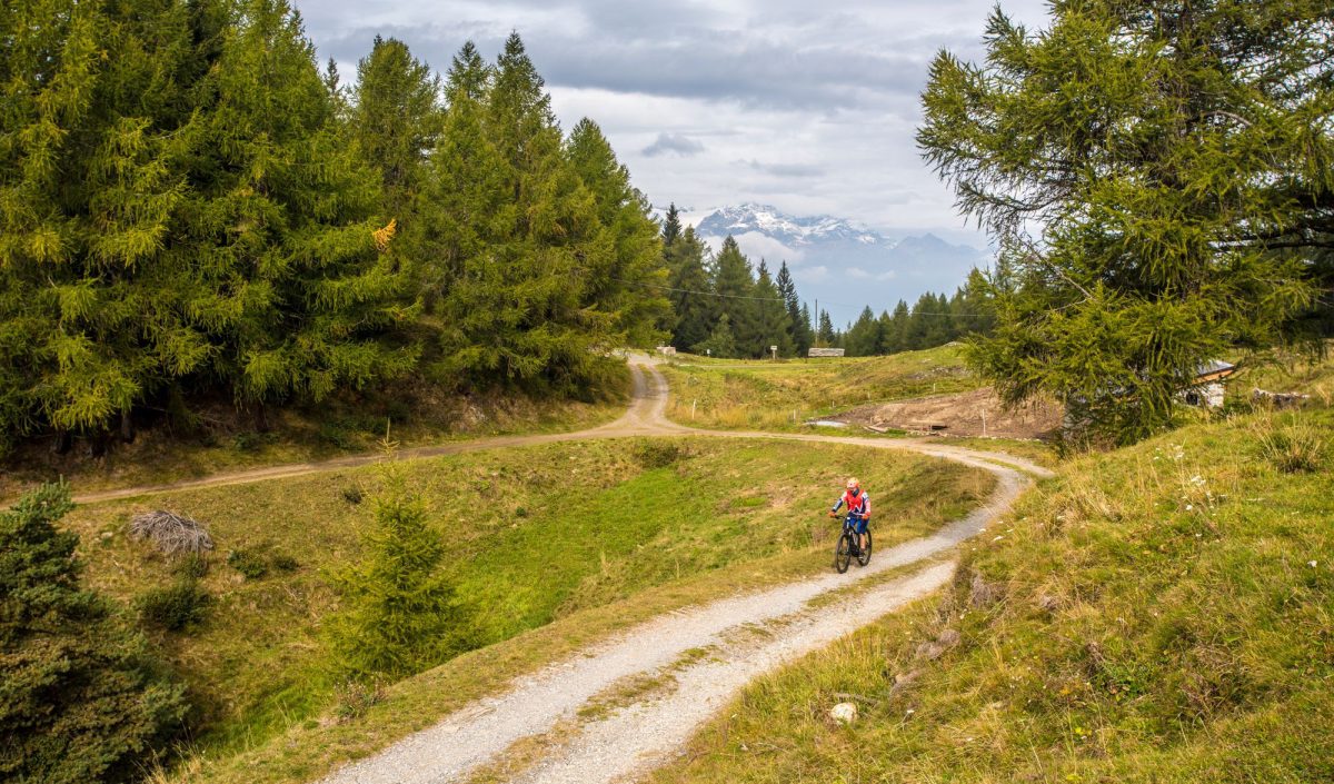 E-bike Aprica, Pian di Gembro, Trivigno, Aprica