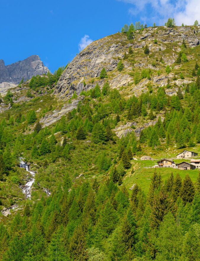 La Valgrosina – Il cuore verde della Valtellina
