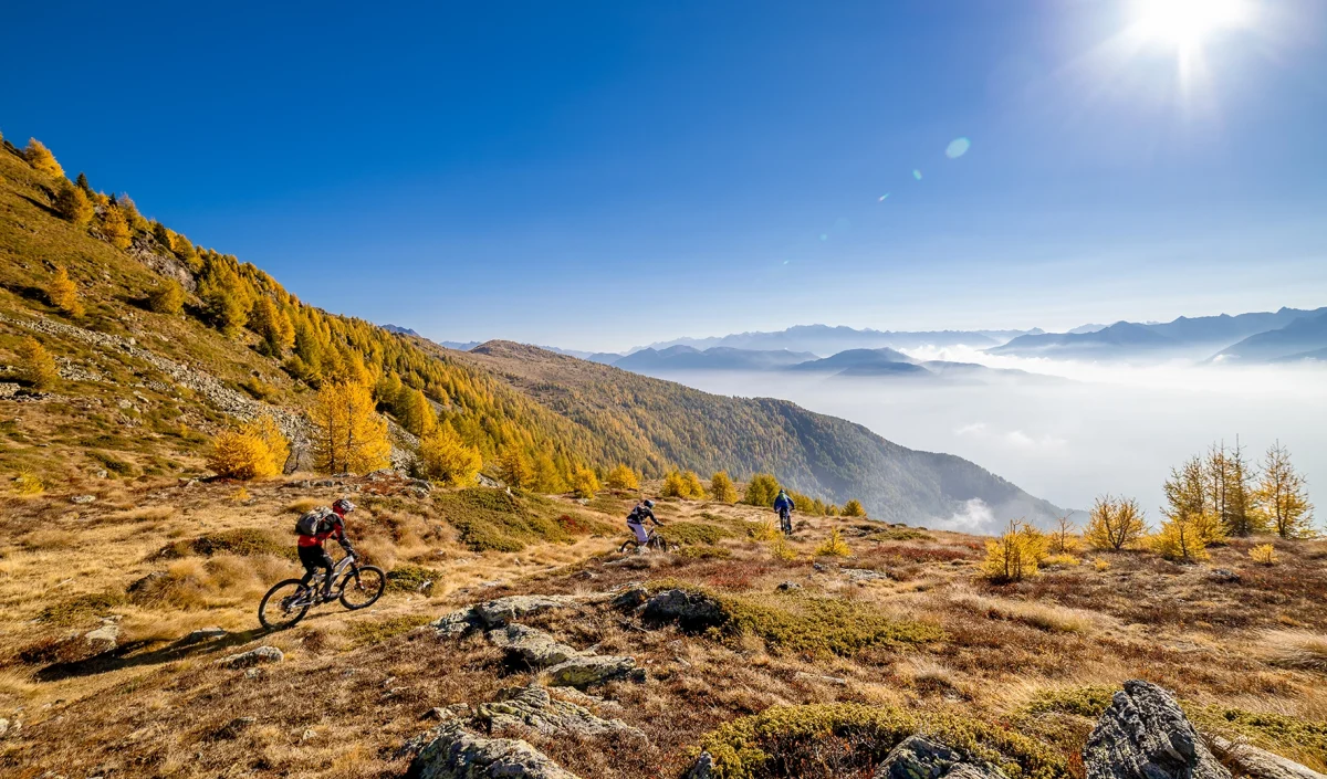 Comunicato stampa – Lancio del nuovo sito web